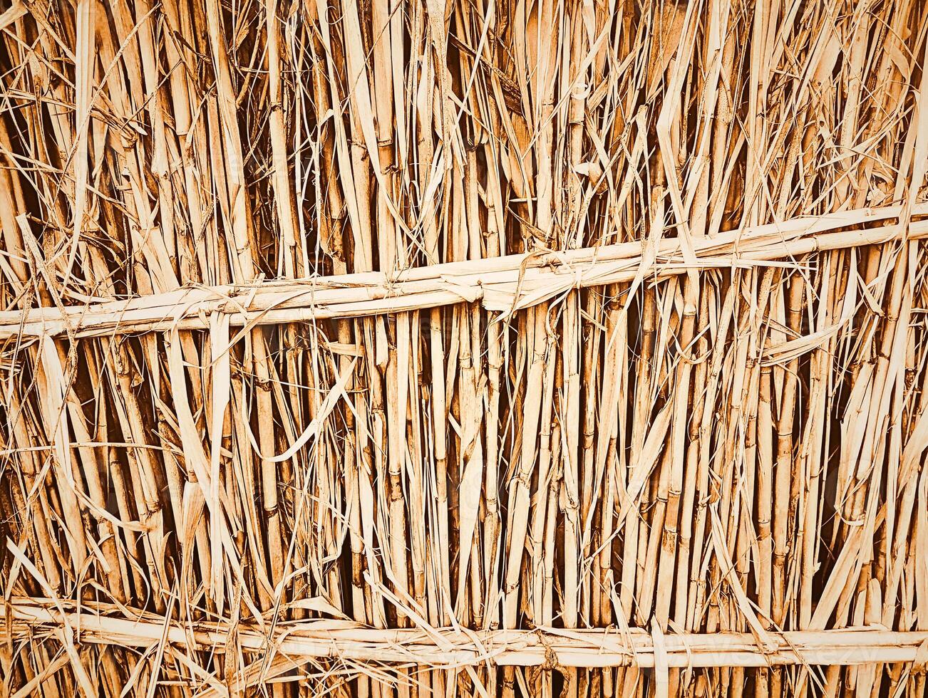 A close up of a wall made of straw photo
