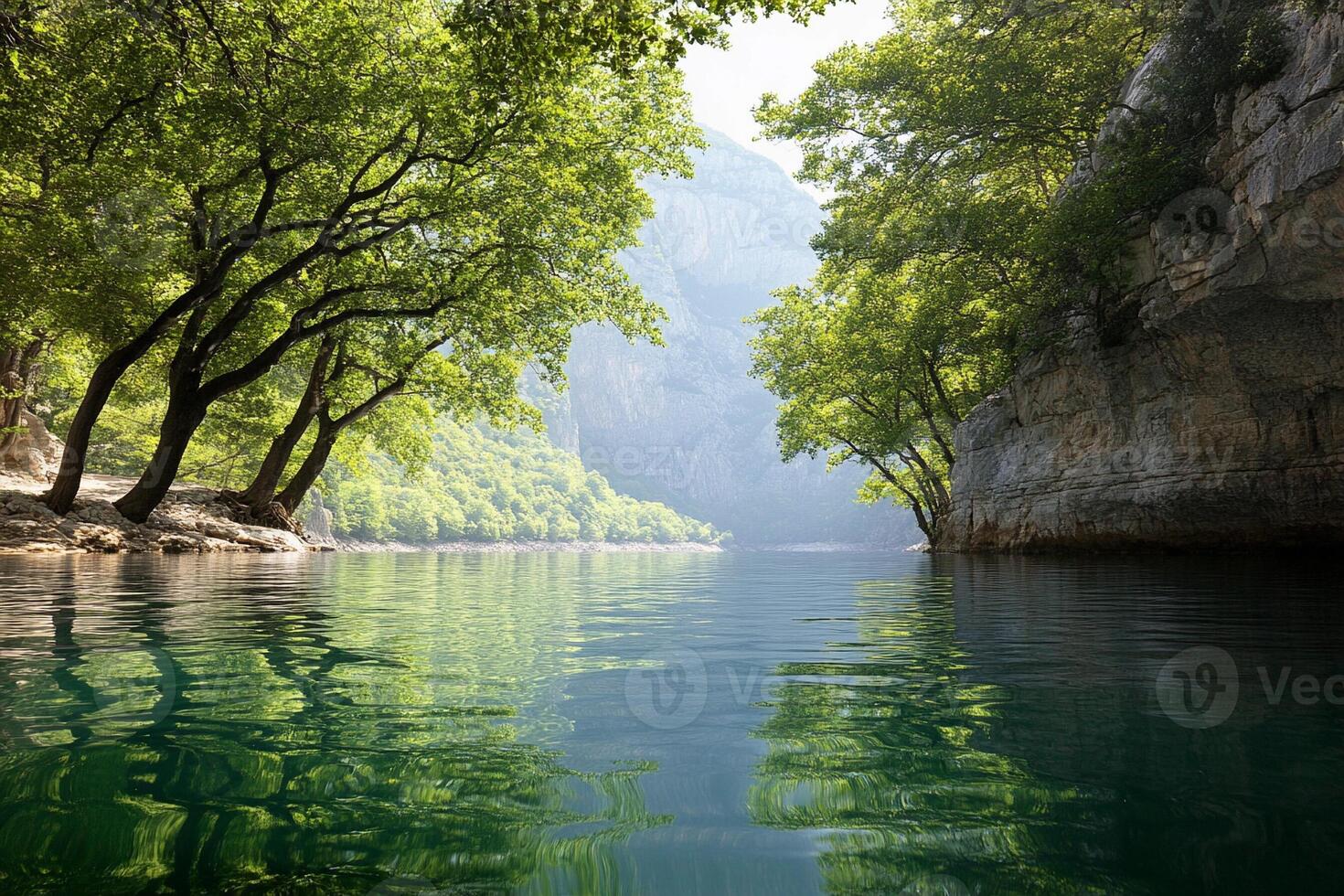 A river with trees and rocks in the middle photo