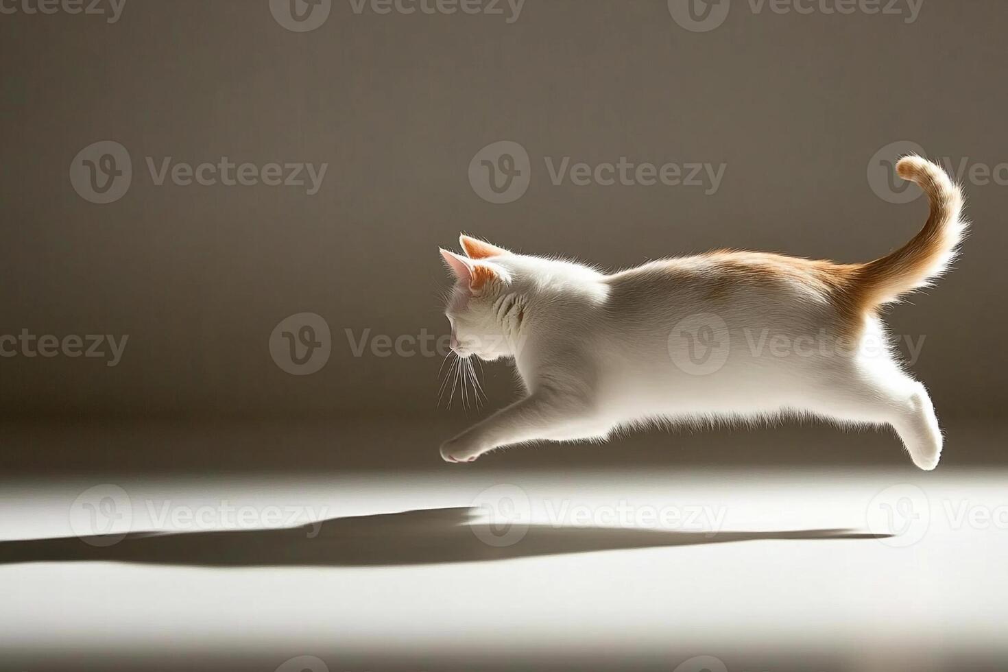 A cat jumping in the air with its shadow photo