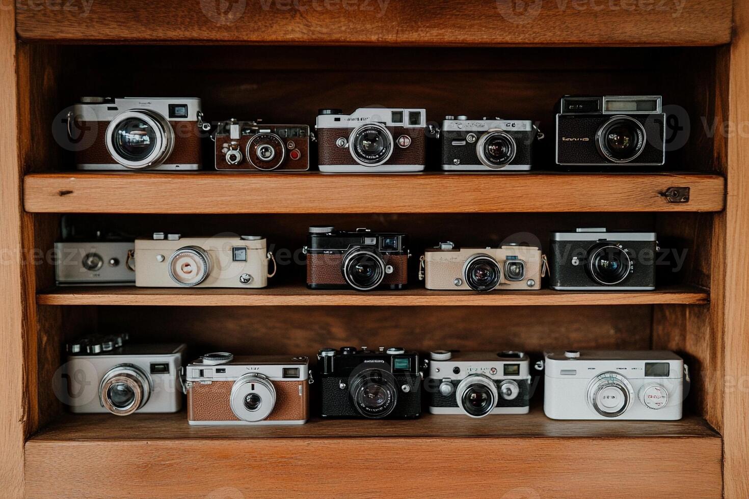 A shelf full of old cameras photo