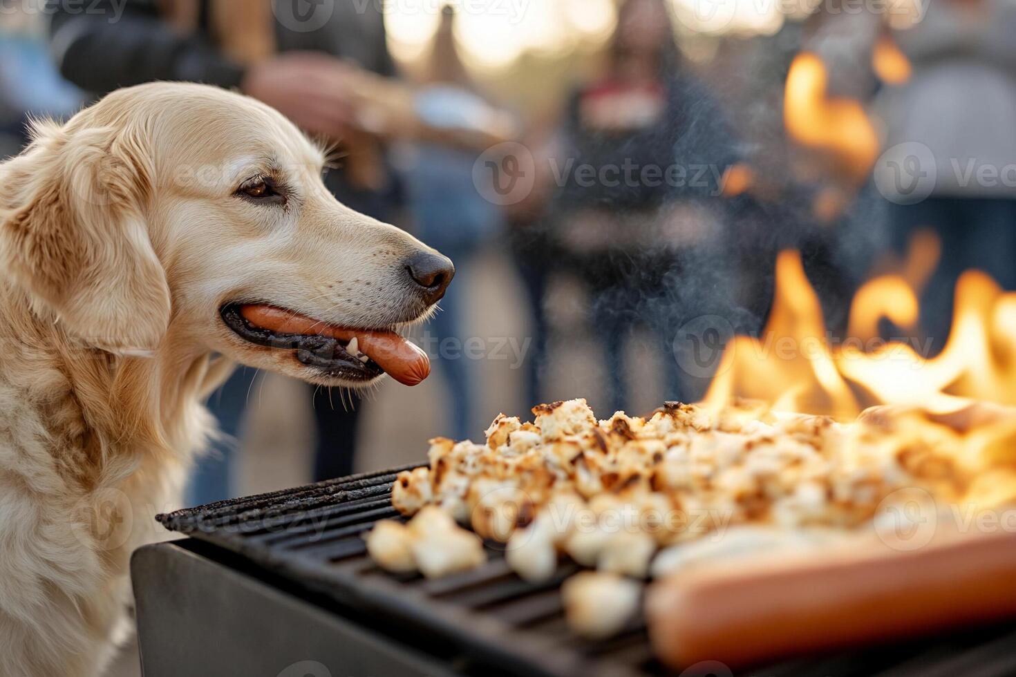 A dog is standing on a grill with hot dogs and popcorn photo