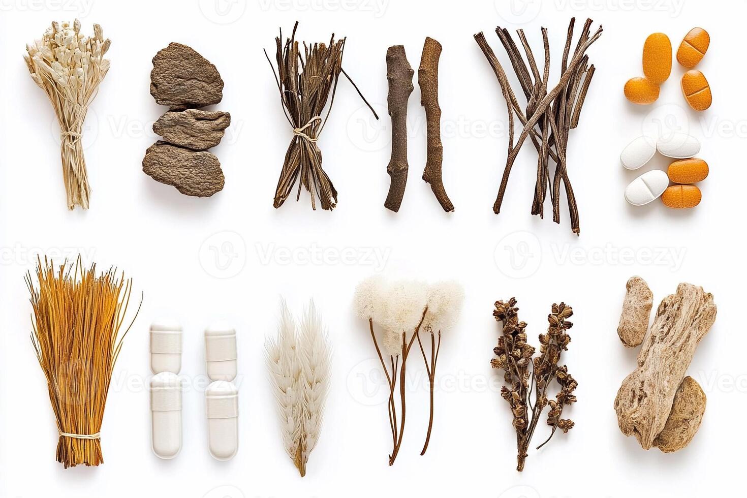 A collection of dried herbs and plants photo