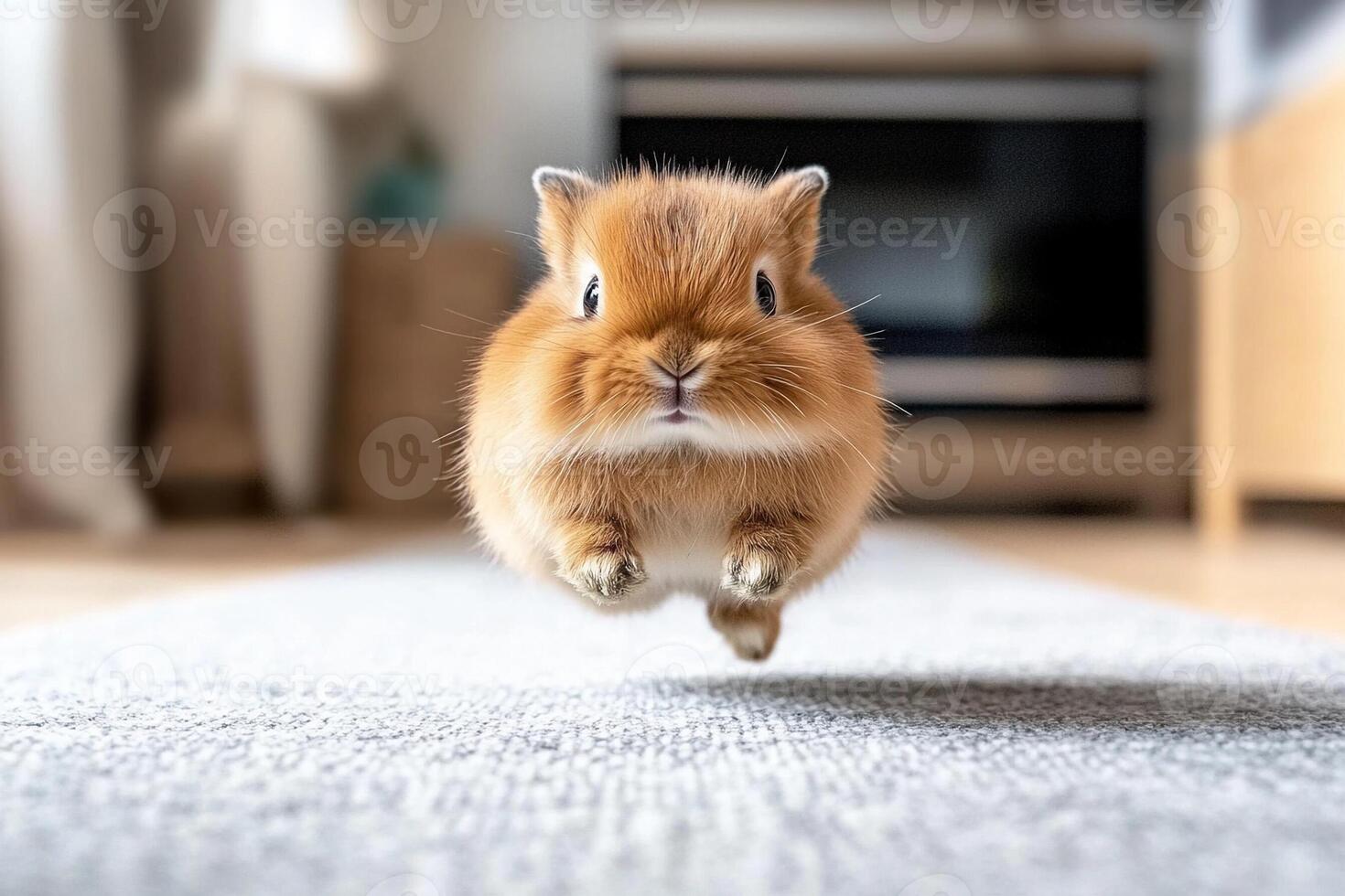 A small brown rabbit is running on the floor photo