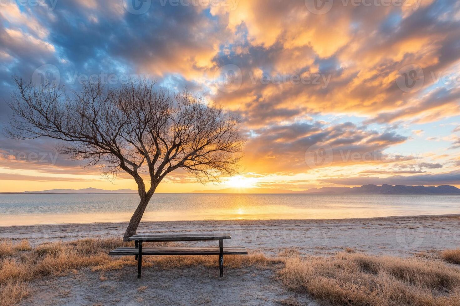 A bench sits in front of a tree on a beach at sunset photo