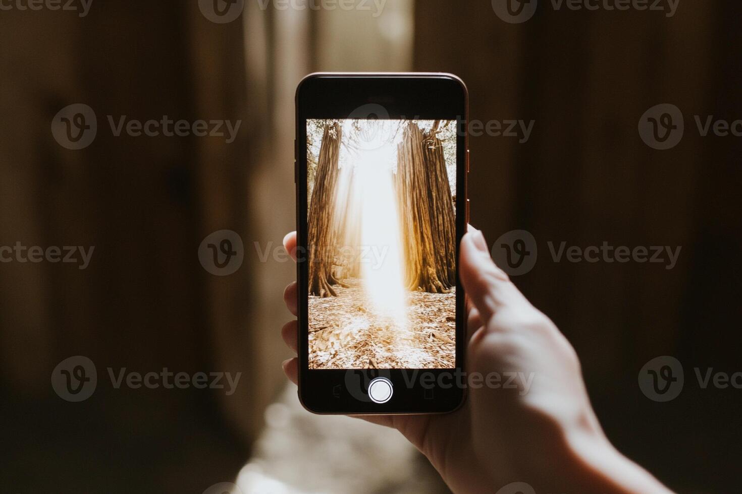 A person holding up a smartphone with a photo of a forest