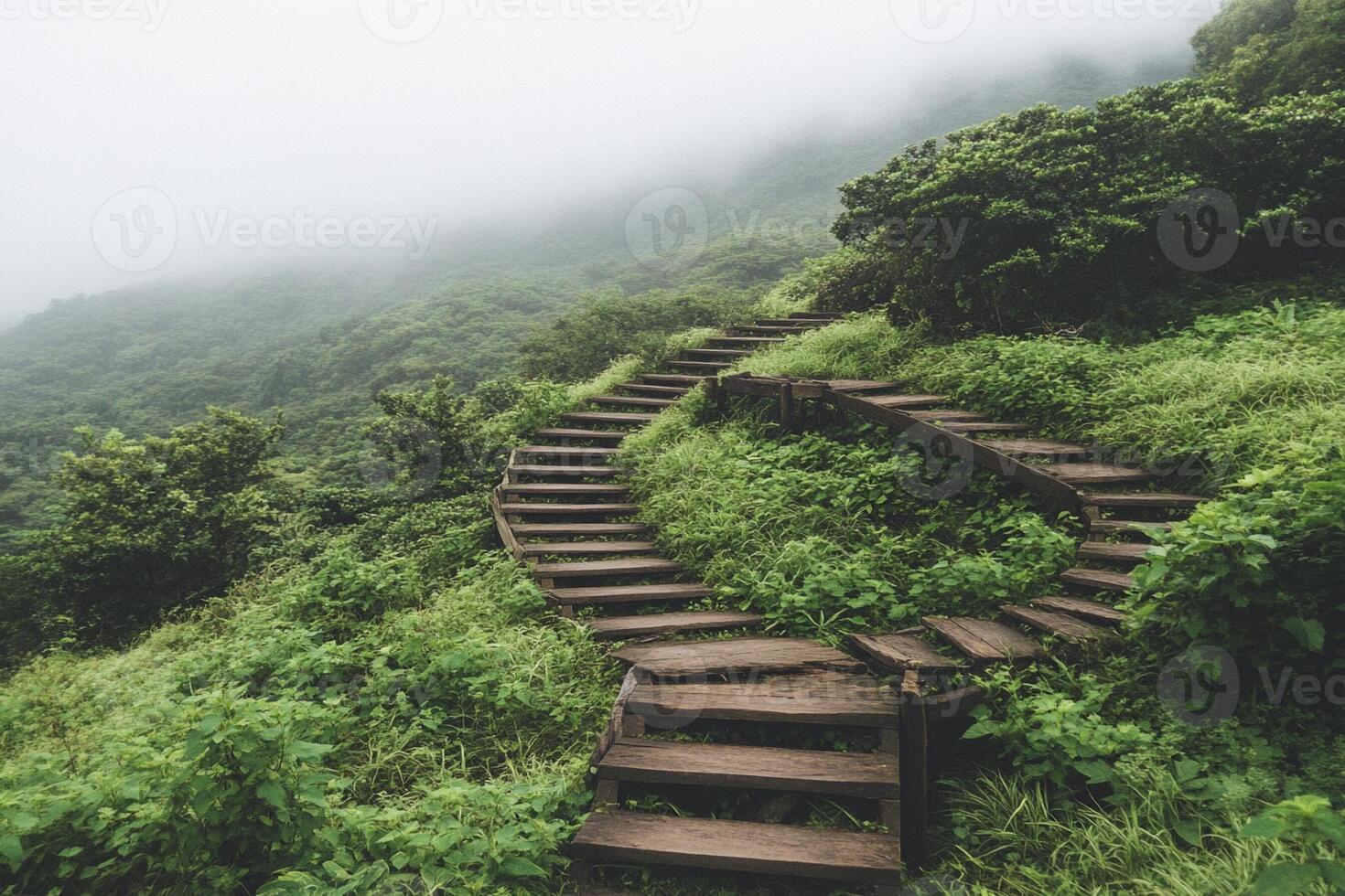 Wooden stairs leading up to a mountain in the fog photo