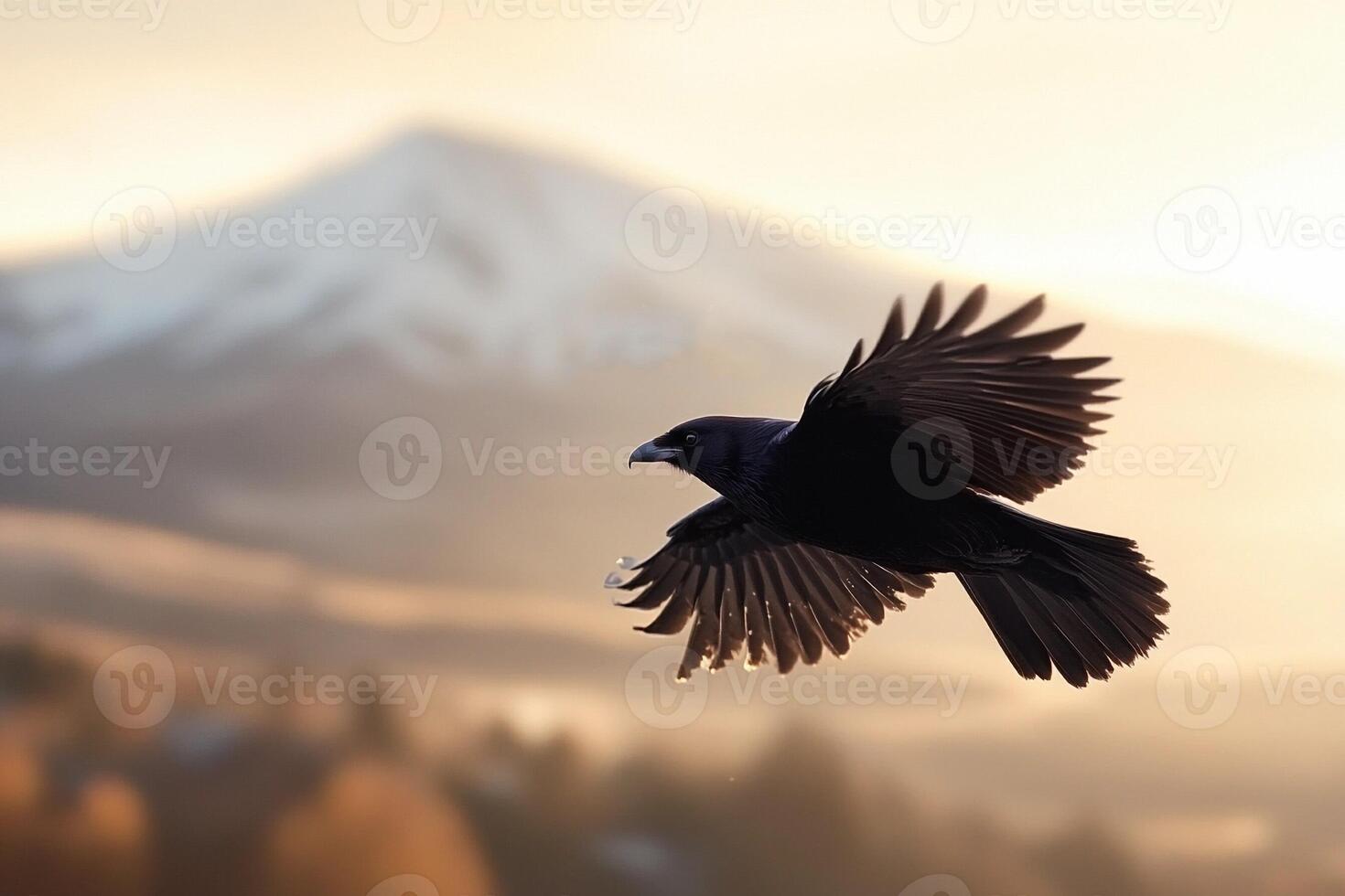 A black bird flying over a mountain with a sun in the background photo