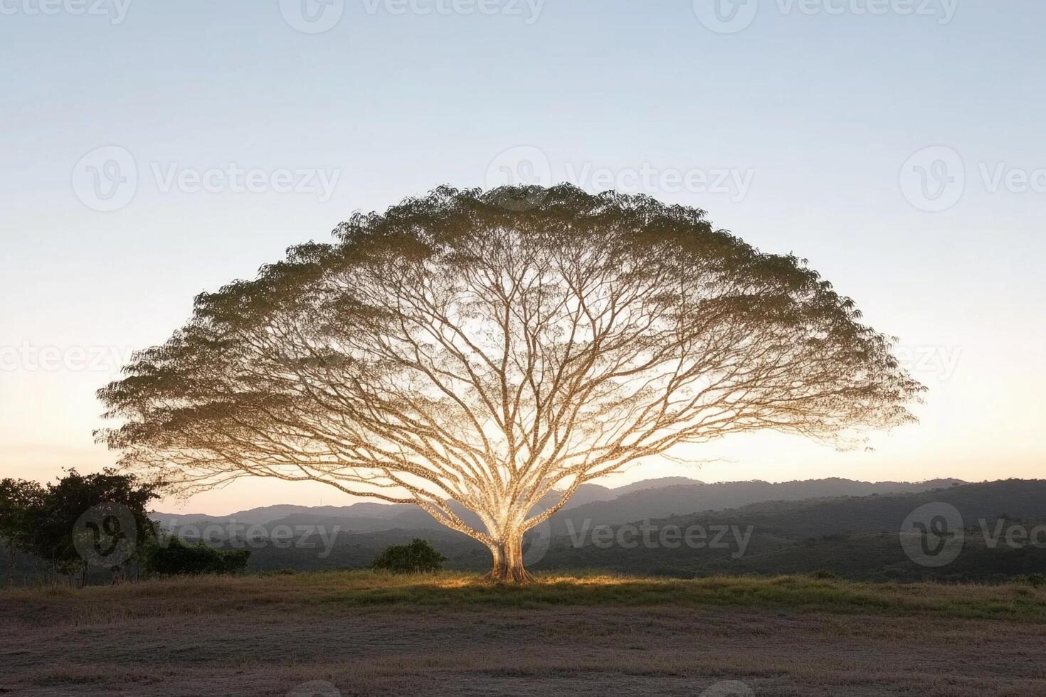 A tree with a light shining on it in the middle of a field photo