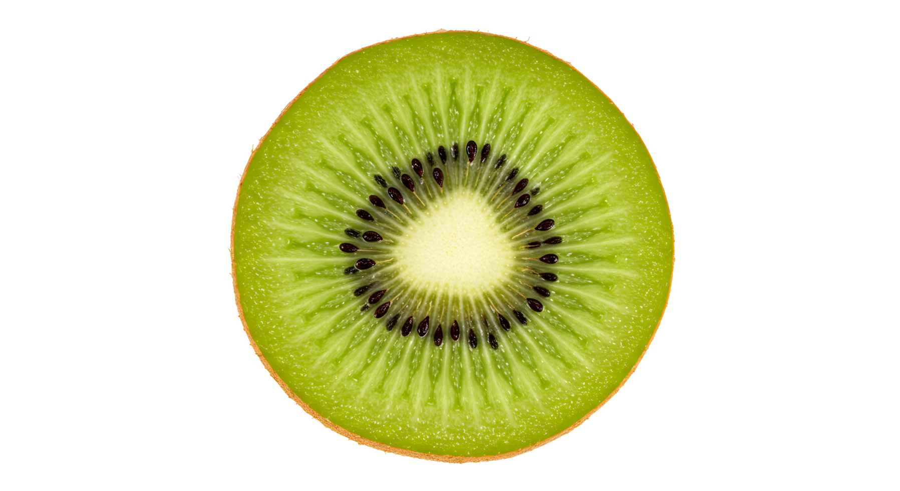 Fresh Kiwi Slice isolated on white Transparent Background png
