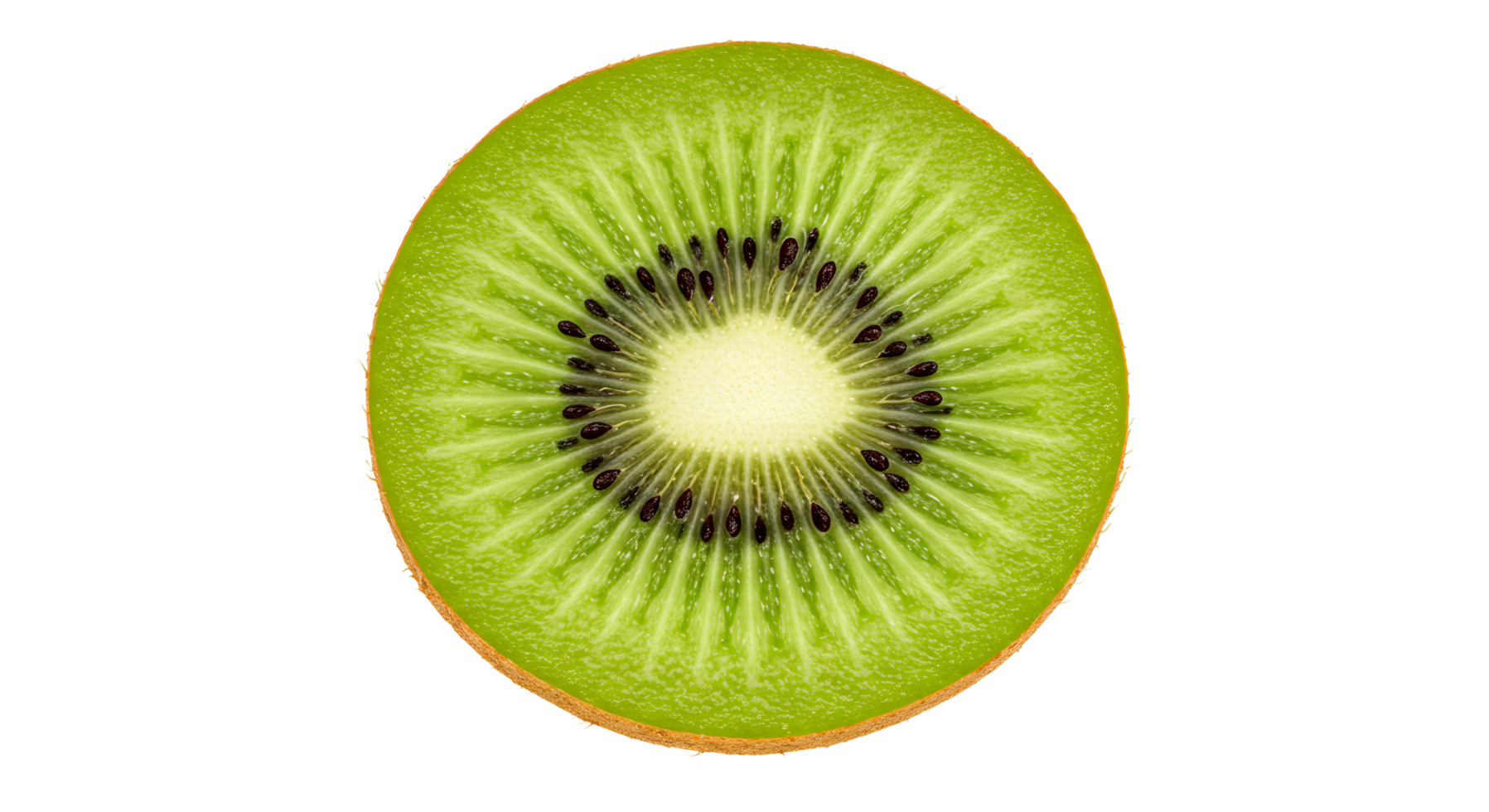 Fresh Kiwi Slice isolated on Transparent Background png