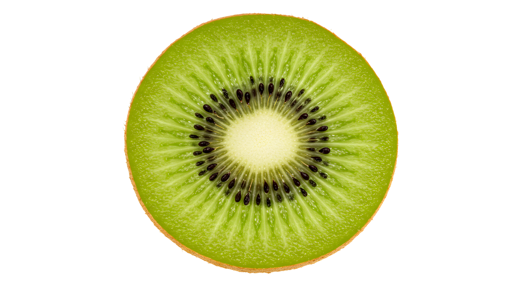 Fresh Kiwi Slice on Transparent Background png