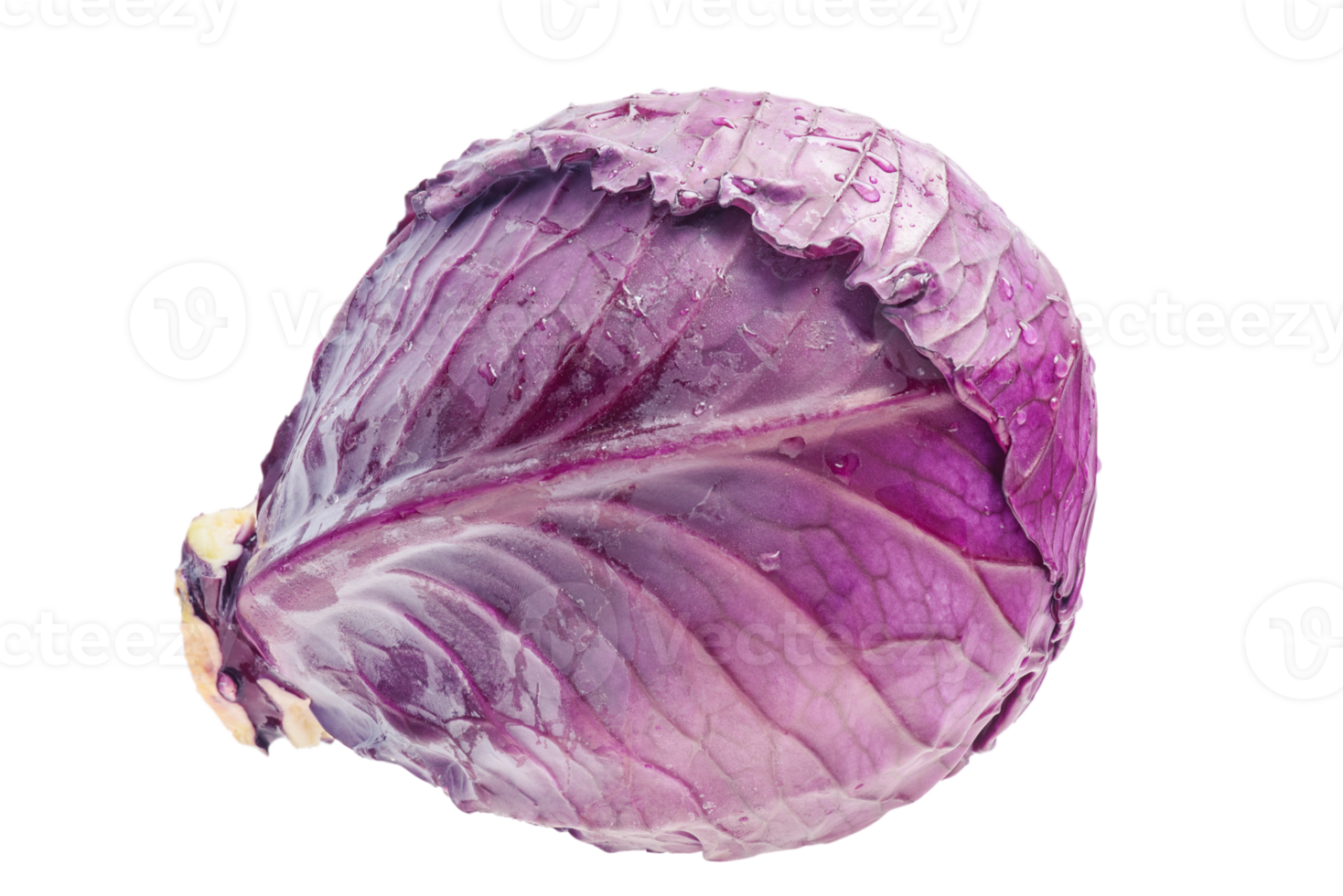 Red cabbage isolate. Vegetable, purple cabbage. png