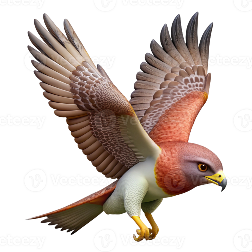 elegant contemporary A hawk, soaring exclusive png