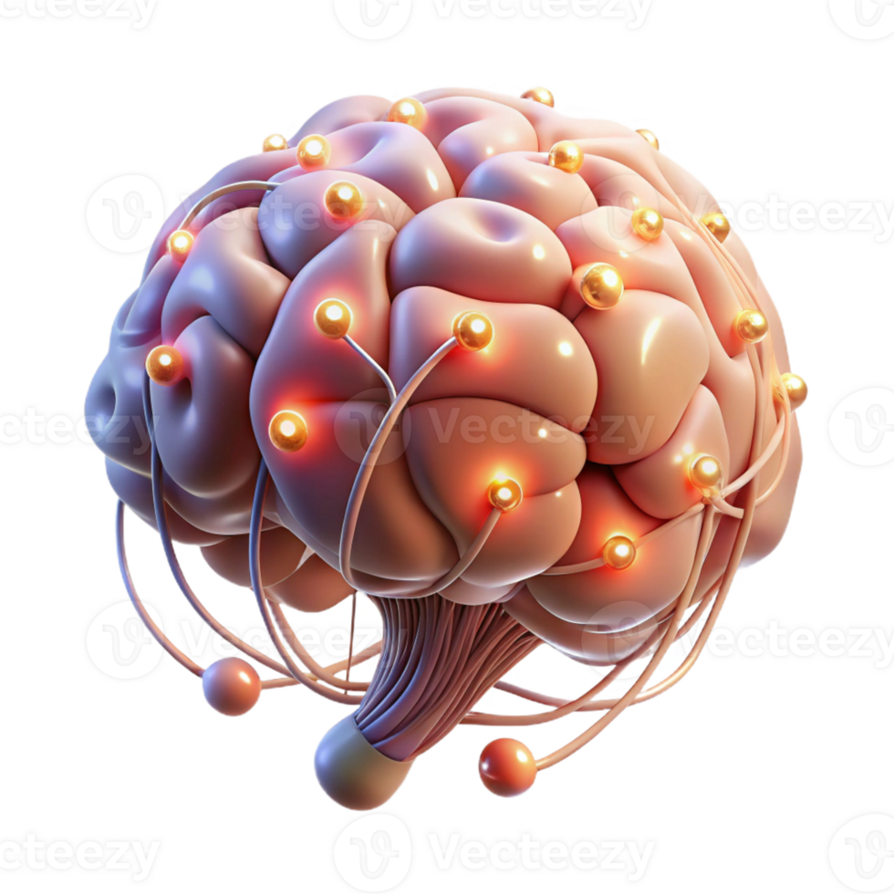 elegant artistic A floating brain with glowing neural pathways premium png