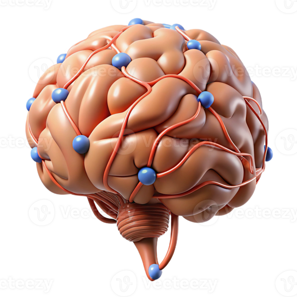 extraordinary creative High-resolution 3D model of a human brain with neural pathways highlighted detailed png