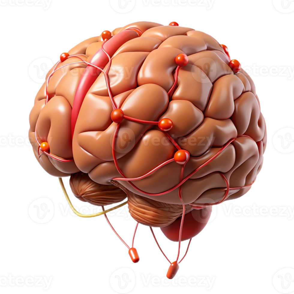 vibrant abstract High-resolution 3D model of a human brain with neural pathways highlighted original png