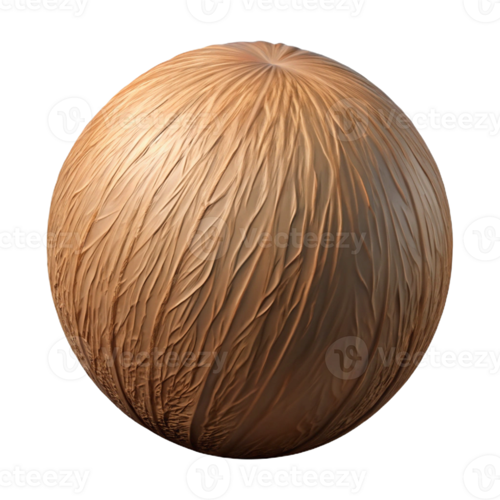 stunning artistic Coconut whole authentic png