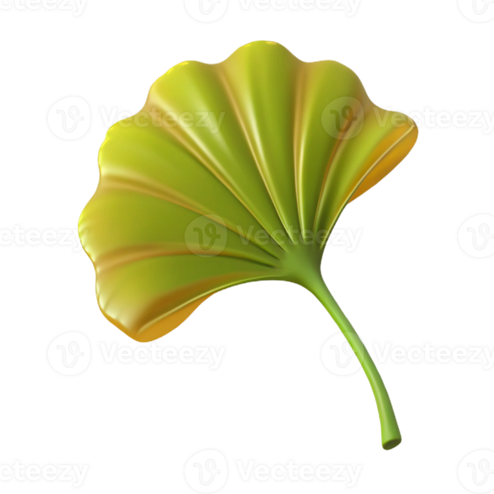 extraordinary artistic Ginkgo leaf authentic png