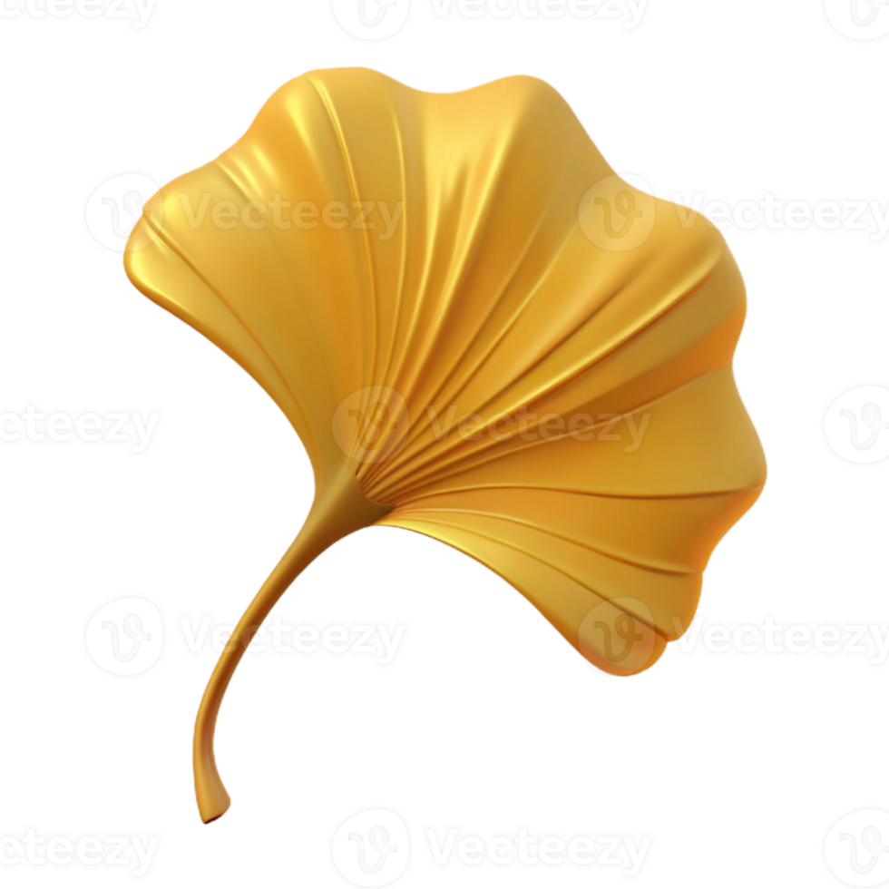 stunning abstract Ginkgo leaf high resolution png
