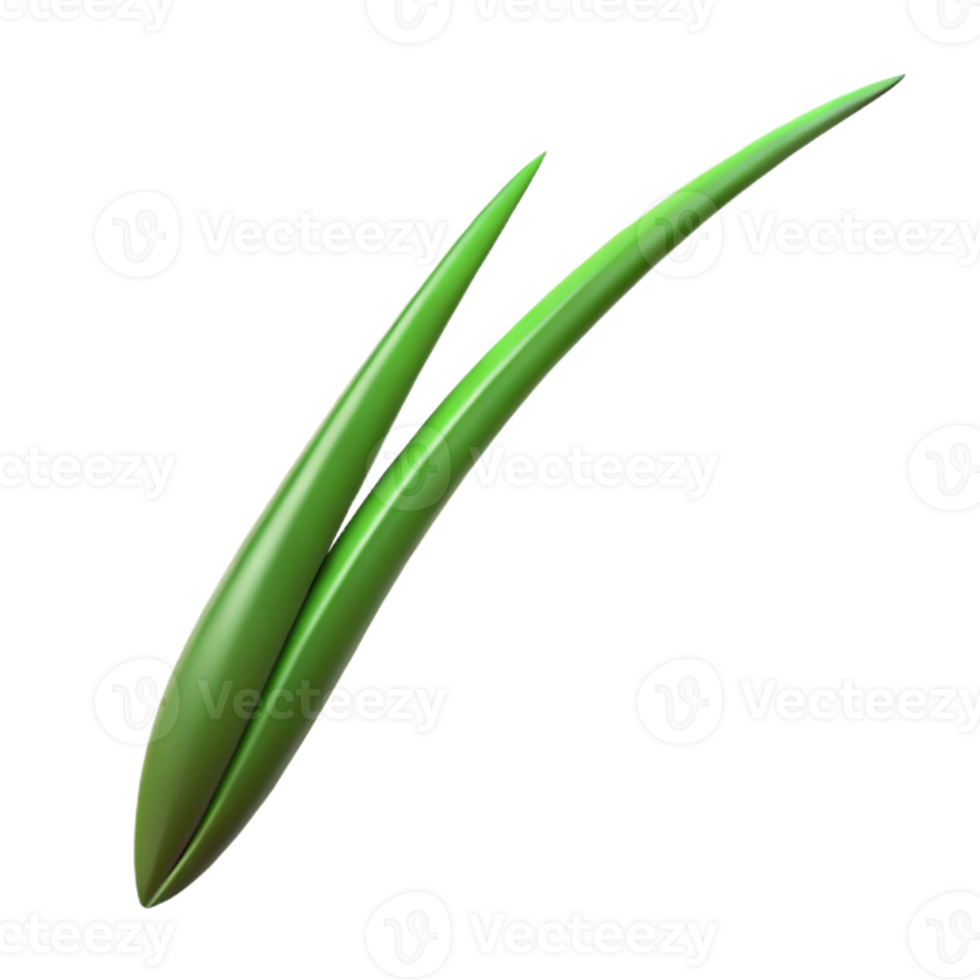 dramatic classic Single blade of grass authentic png