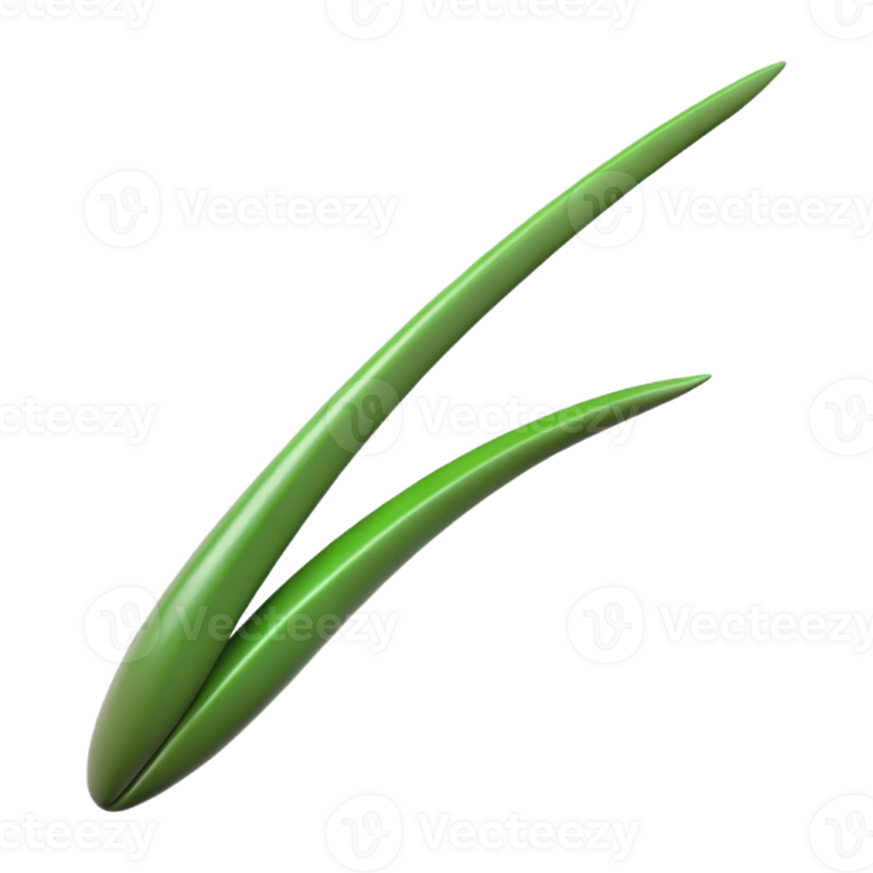 stunning contemporary Single blade of grass detailed png