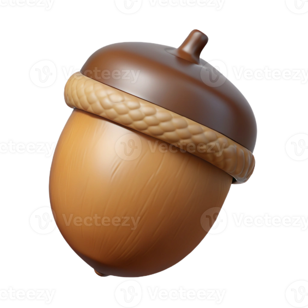 vibrant minimalist Brown acorn with cap premium png
