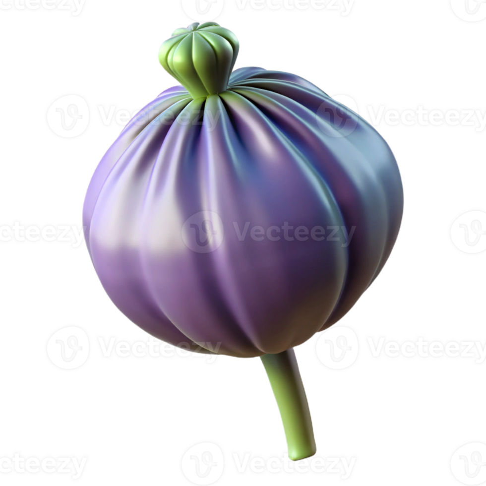elegant minimalist Poppy seed pod detailed png