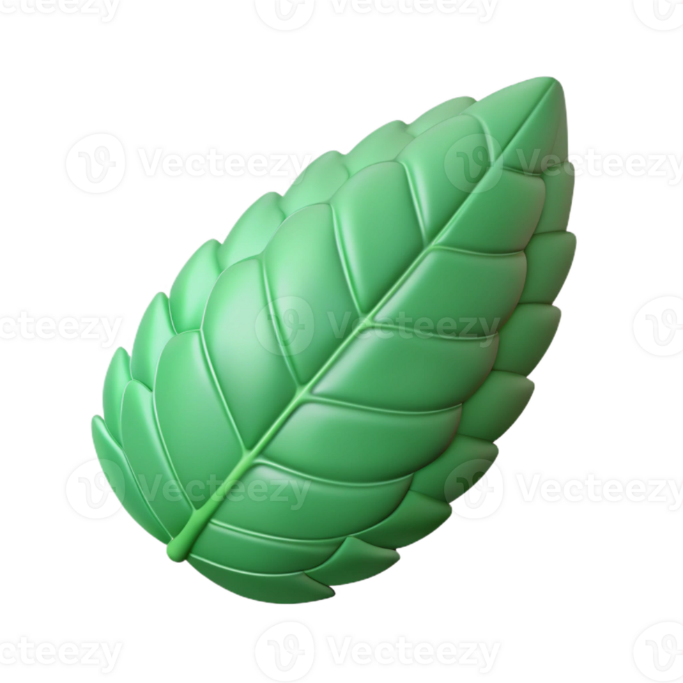 wonderful rustic Mint leaf exclusive png