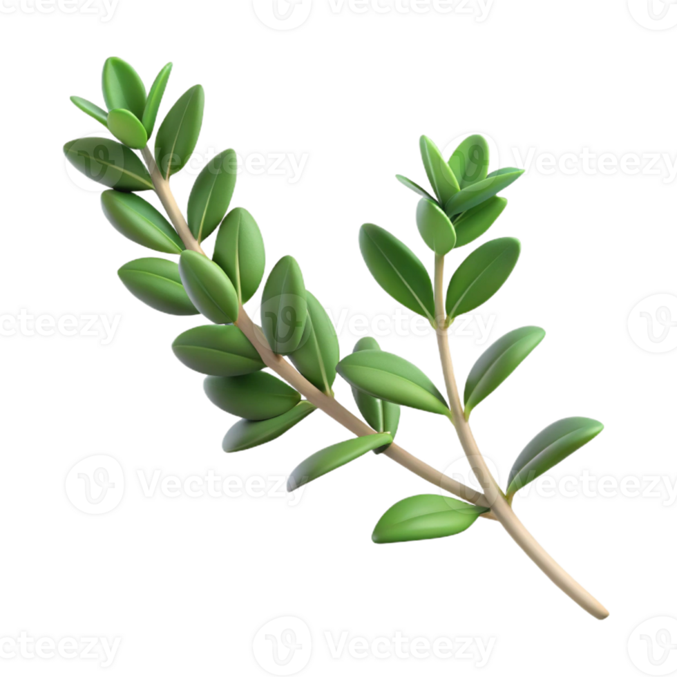magnificent creative Thyme sprig high quality png