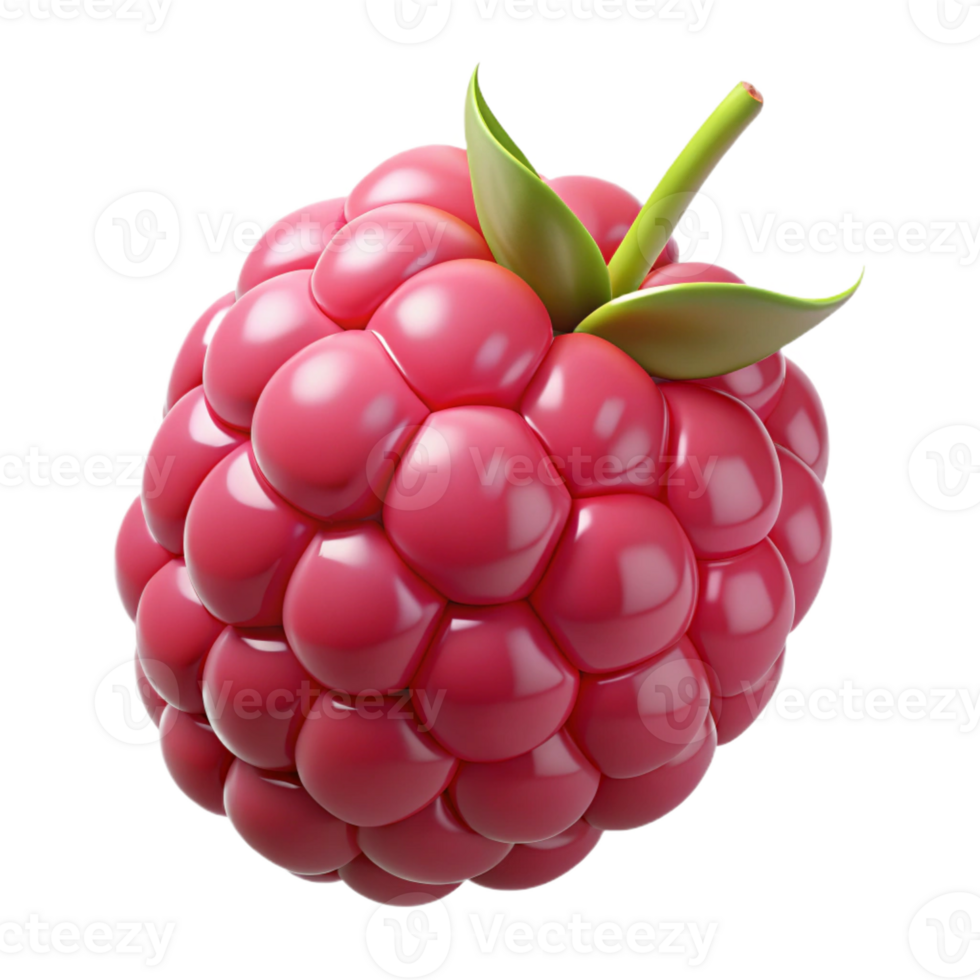 beautiful artistic Single raspberry premium png