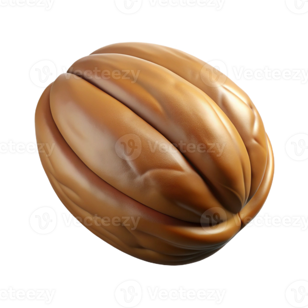 magnificent vintage Single perfect pecan nut in shell exclusive png