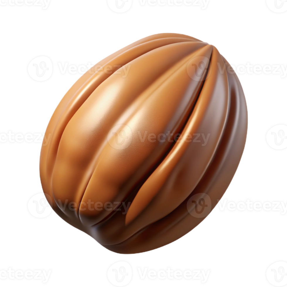 magnificent contemporary Single perfect pecan nut in shell genuine png
