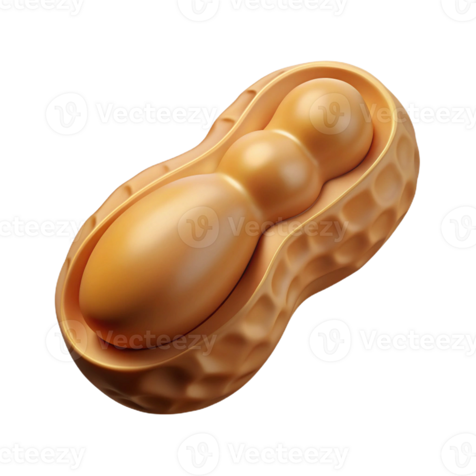 wonderful vintage Peanut in shell detailed png