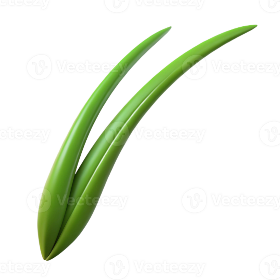 magnificent rustic Single blade of grass high quality png