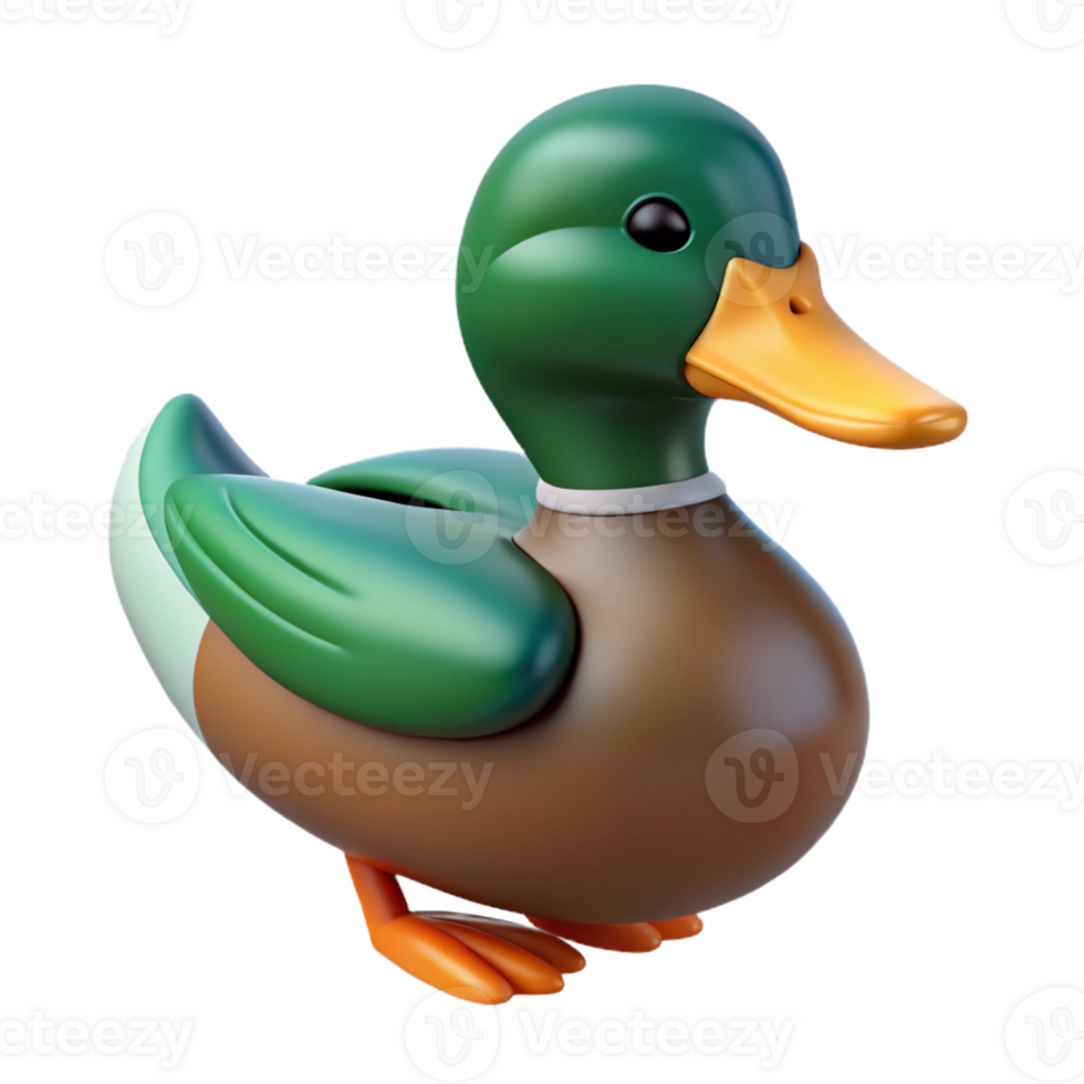 wonderful modern Duck, mallard duck, swimming pose, original png