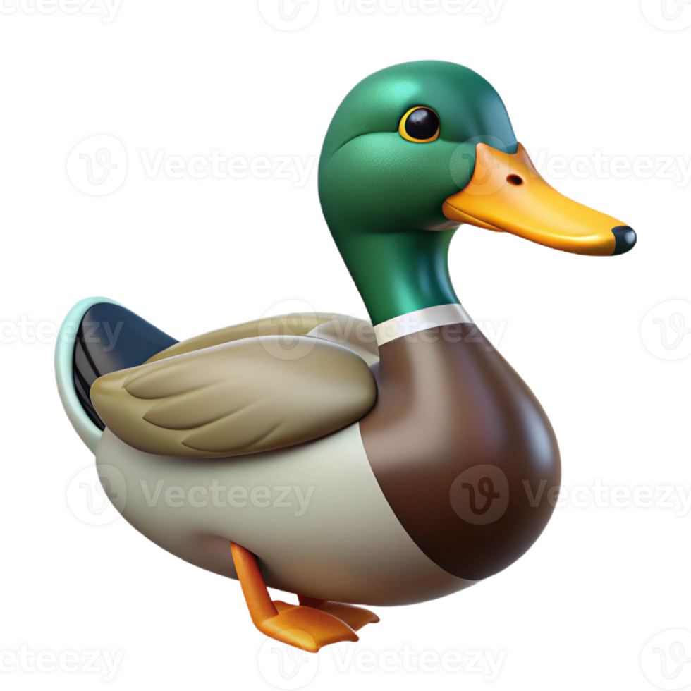 stunning minimalist Duck, mallard duck, swimming pose, original png