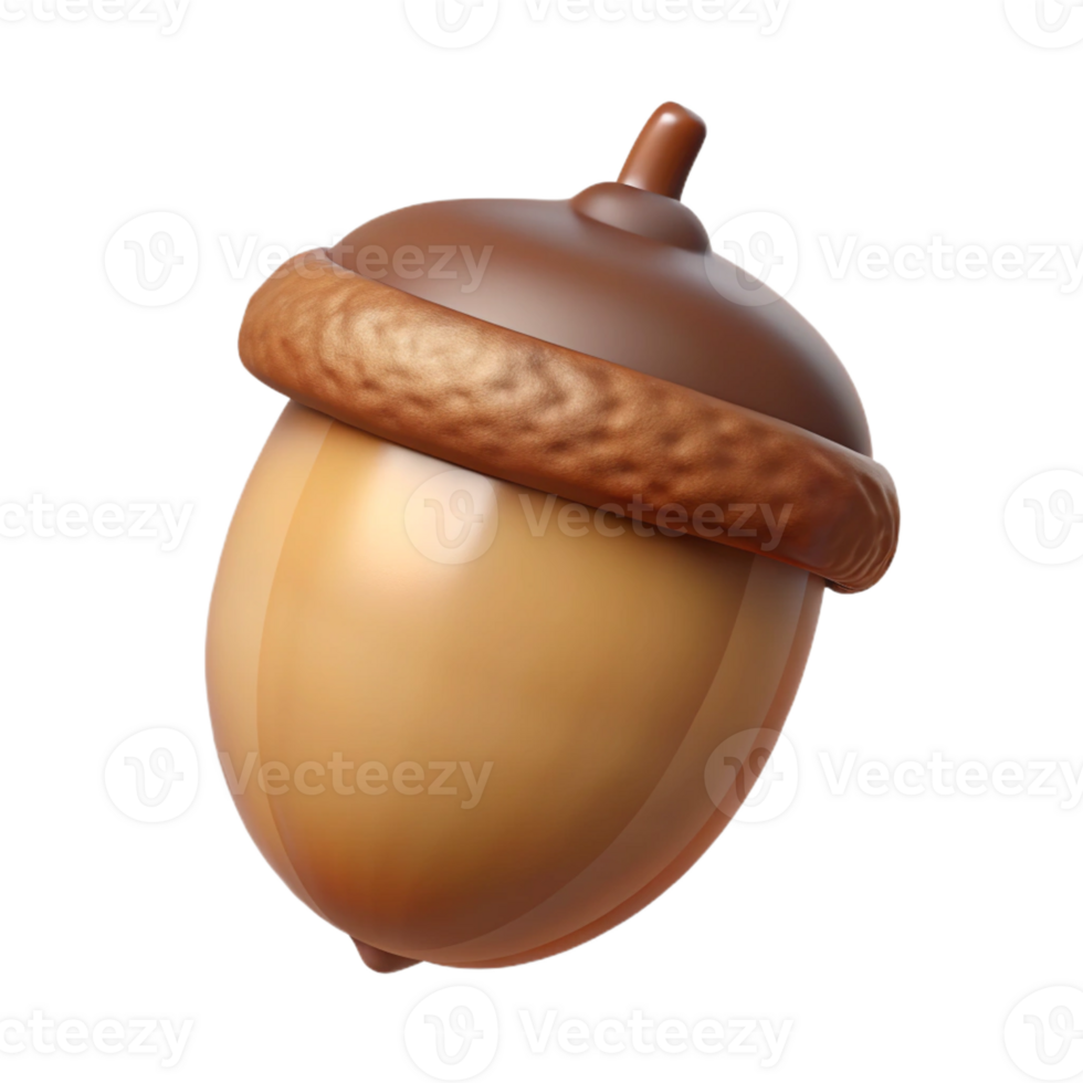 beautiful traditional Single acorn exclusive png