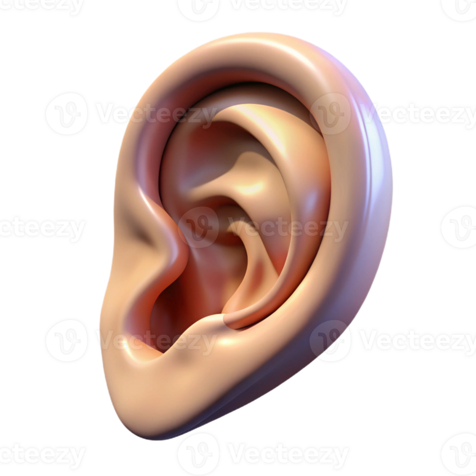 serene abstract Portrait of an ear with unique characteristics, detailed png