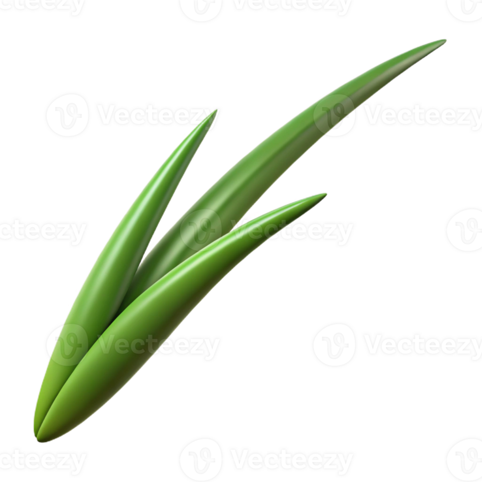 magnificent artistic Single blade of grass premium png