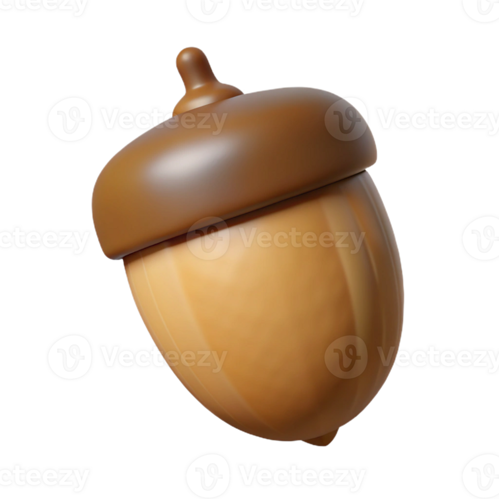 impressive minimalist Acorn detailed png