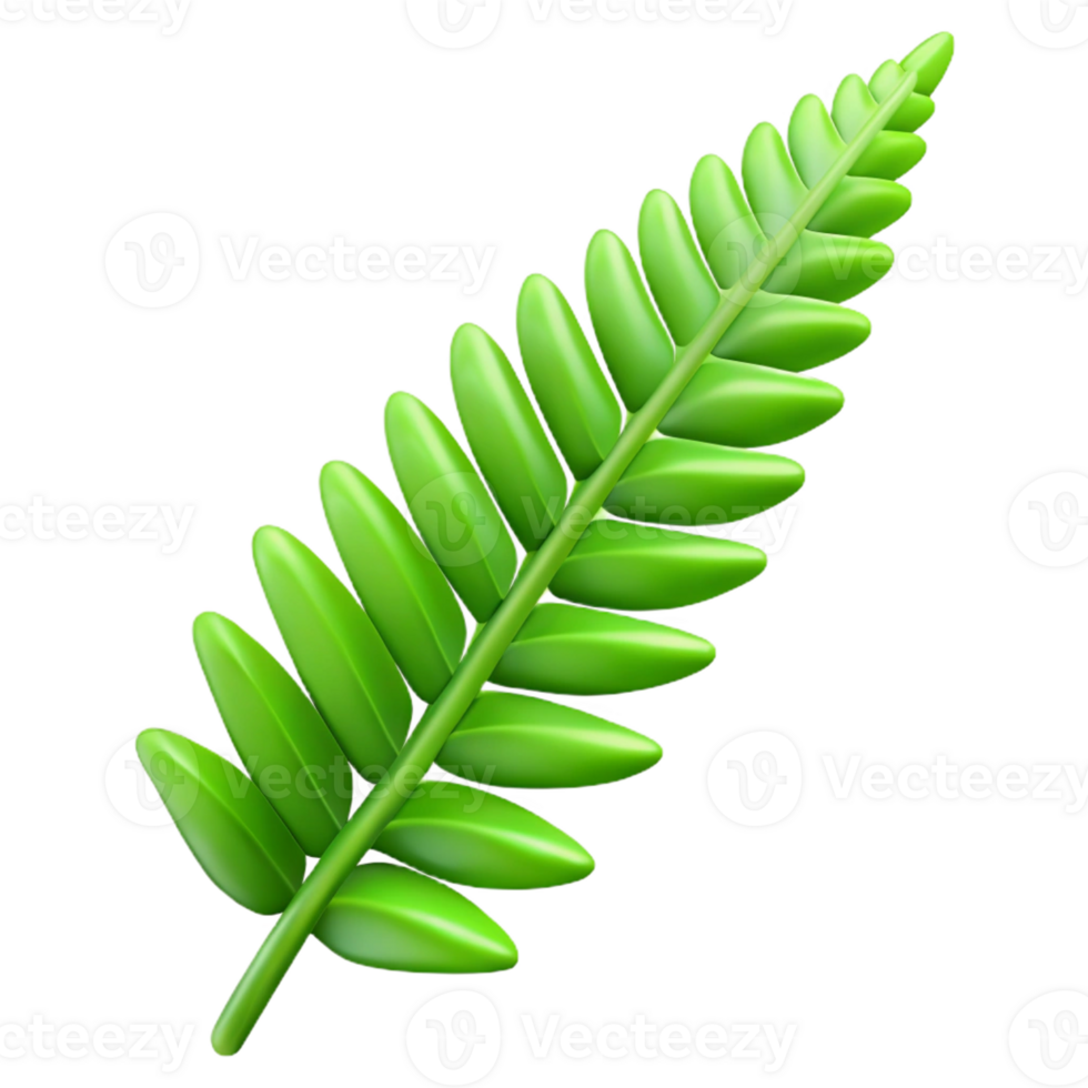 serene abstract Fresh green fern frond authentic png