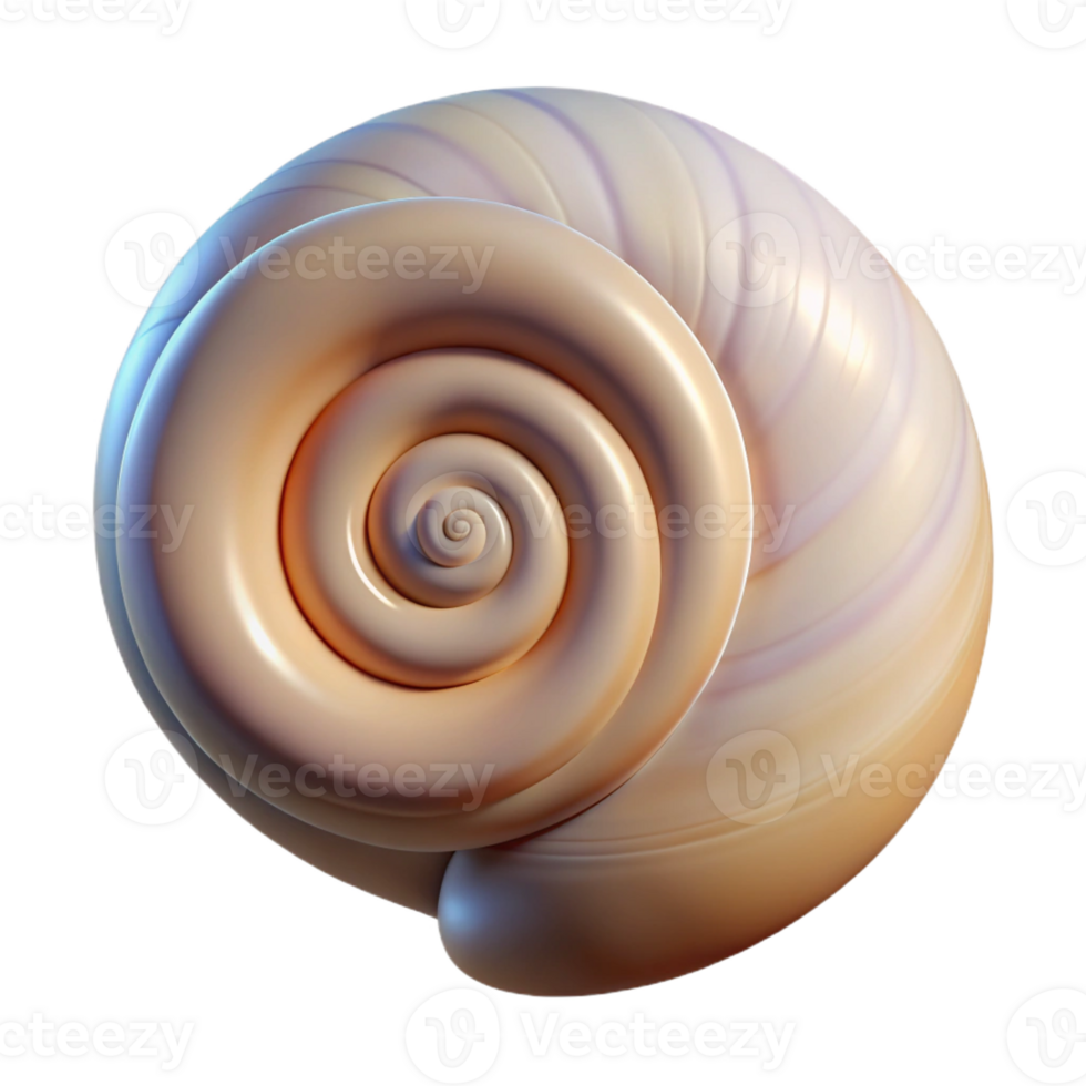 stunning traditional Single seashell, spiral shaped high resolution png
