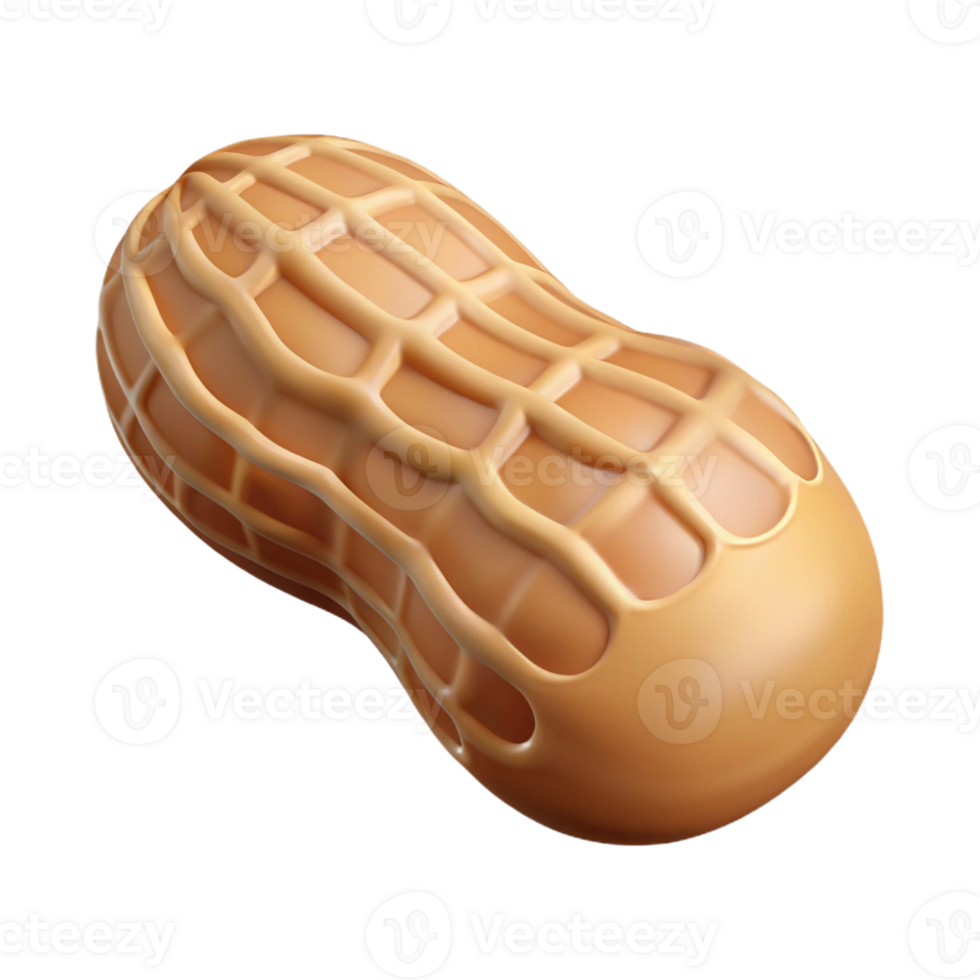 stunning minimalist Single peanut in shell authentic png
