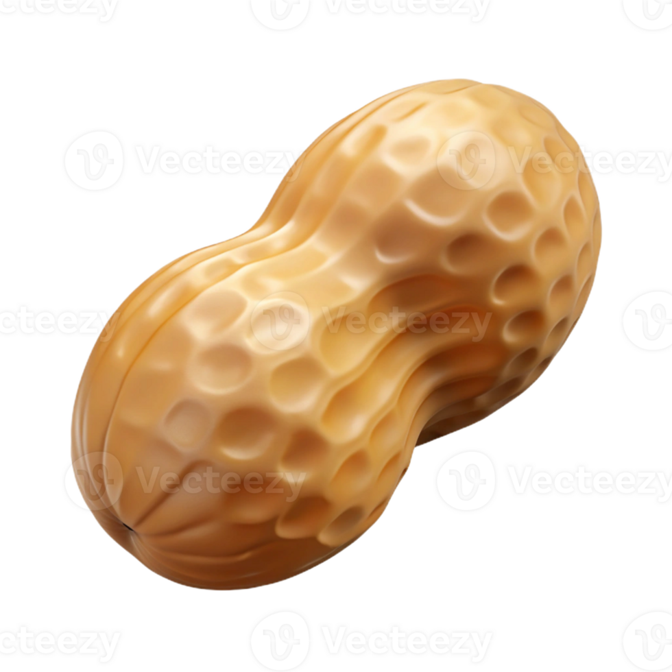 impressive classic Single peanut in shell high quality png