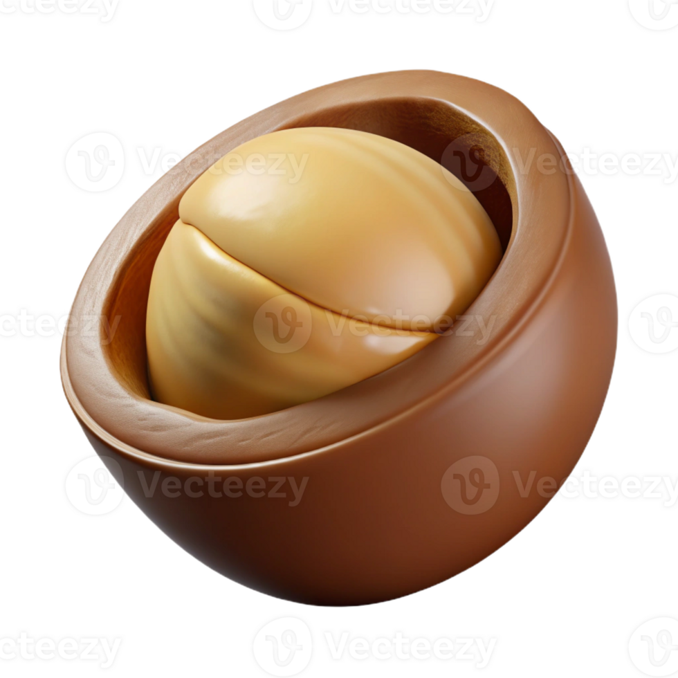dramatic artistic Macadamia nut in shell high resolution png