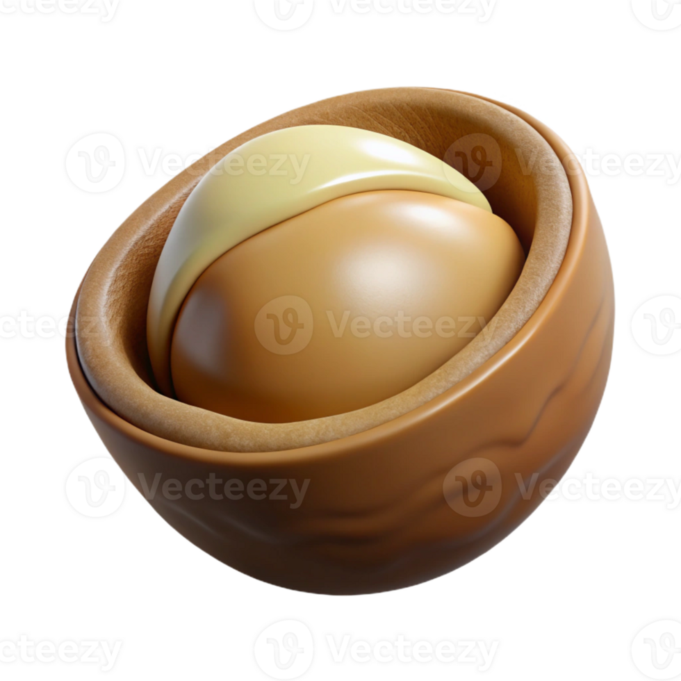 beautiful vintage Macadamia nut in shell high resolution png