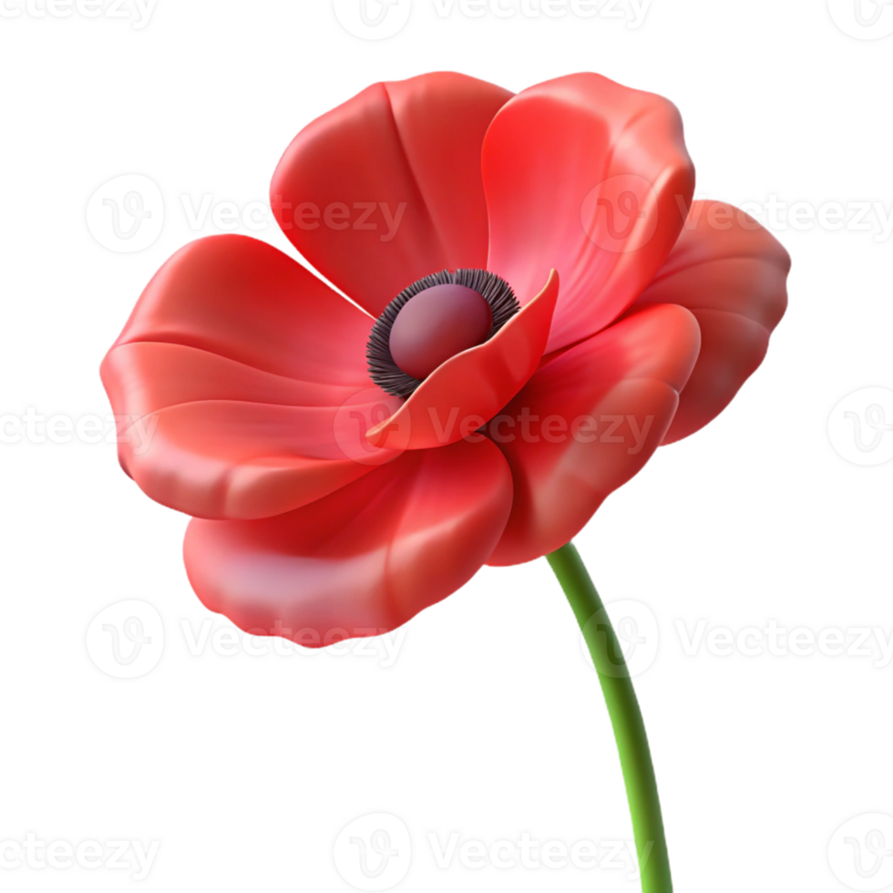 dramatic creative Single poppy flower high resolution png