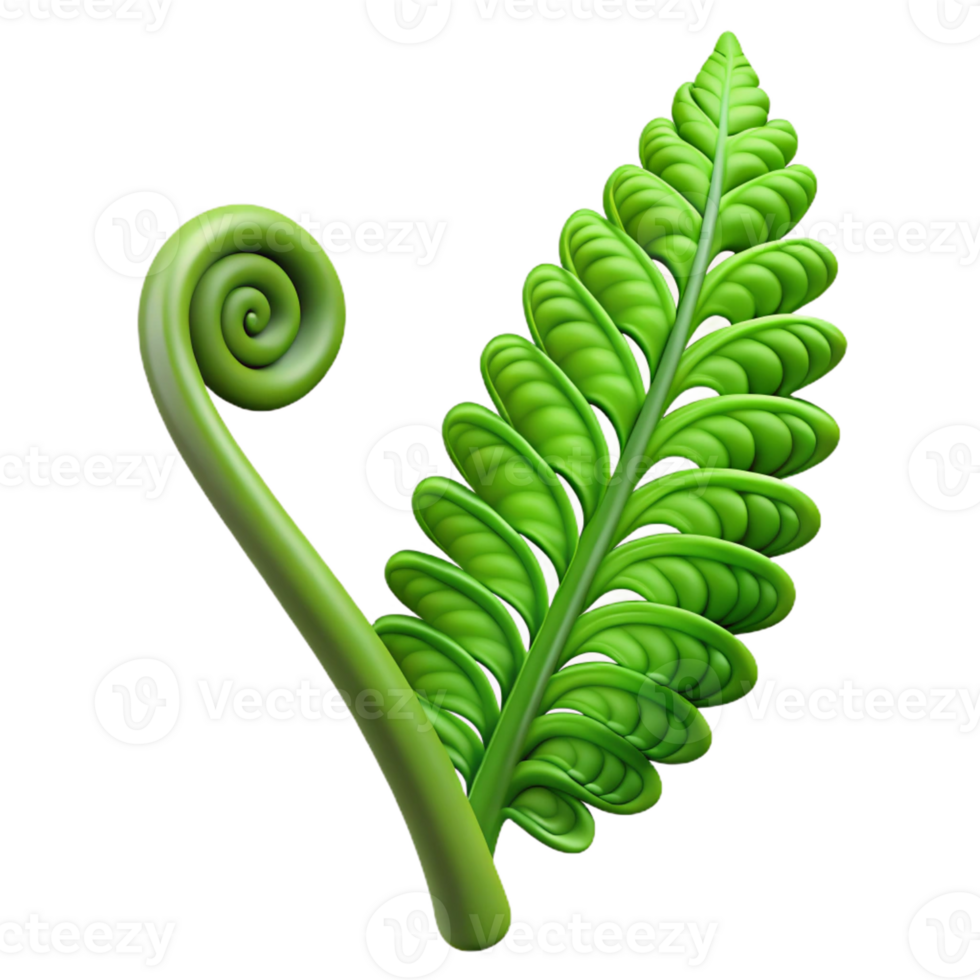 beautiful artistic Green fern frond unfurling high resolution png