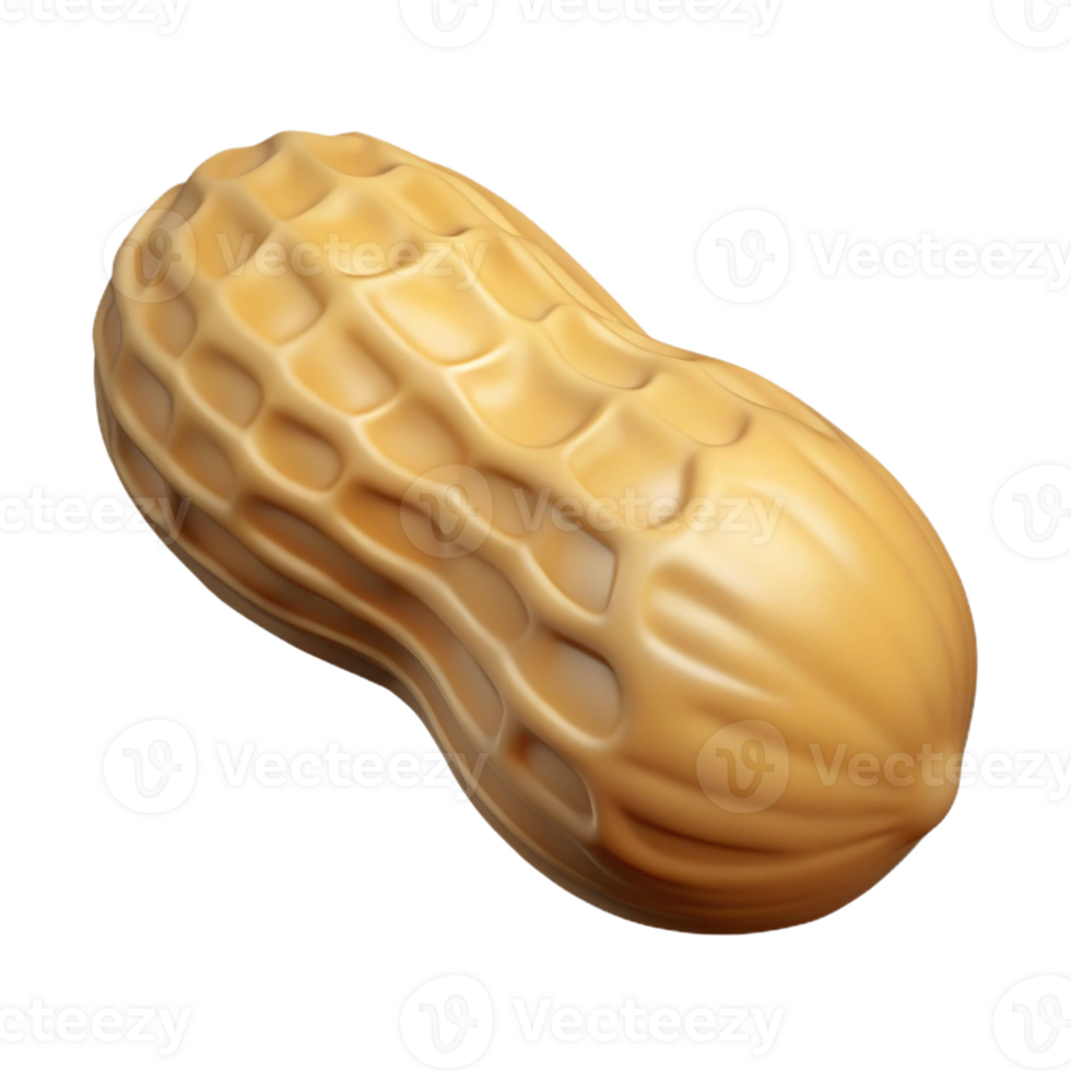 serene modern Single peanut in shell genuine png