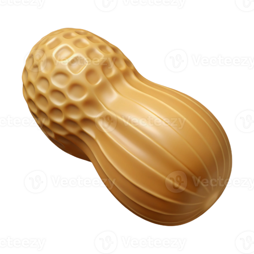 wonderful traditional Single peanut in shell professional png